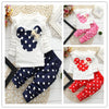 Spring Autumn Minnie Mouse Set